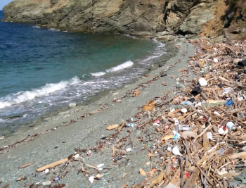 プラスチックごみ問題