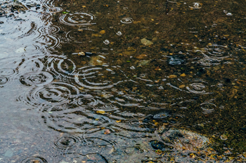 梅雨イメージ